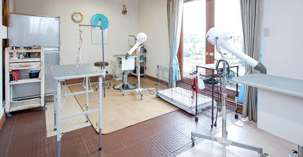 土浦市木田余のトリミングサロン「prima dog by giorich」