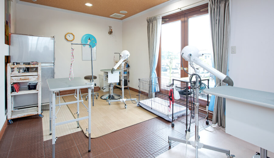 土浦市木田余のトリミングサロン「prima dog by giorich」