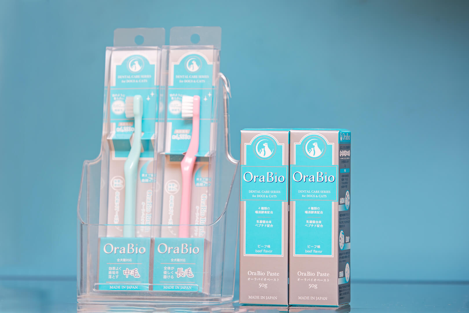 土浦市木田余のトリミングサロン「prima dog by giorich」