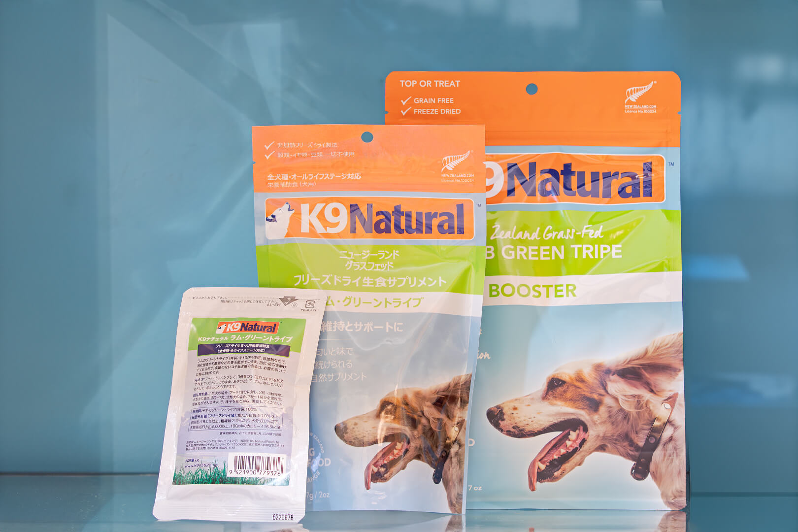 土浦市木田余のトリミングサロン「prima dog by giorich」