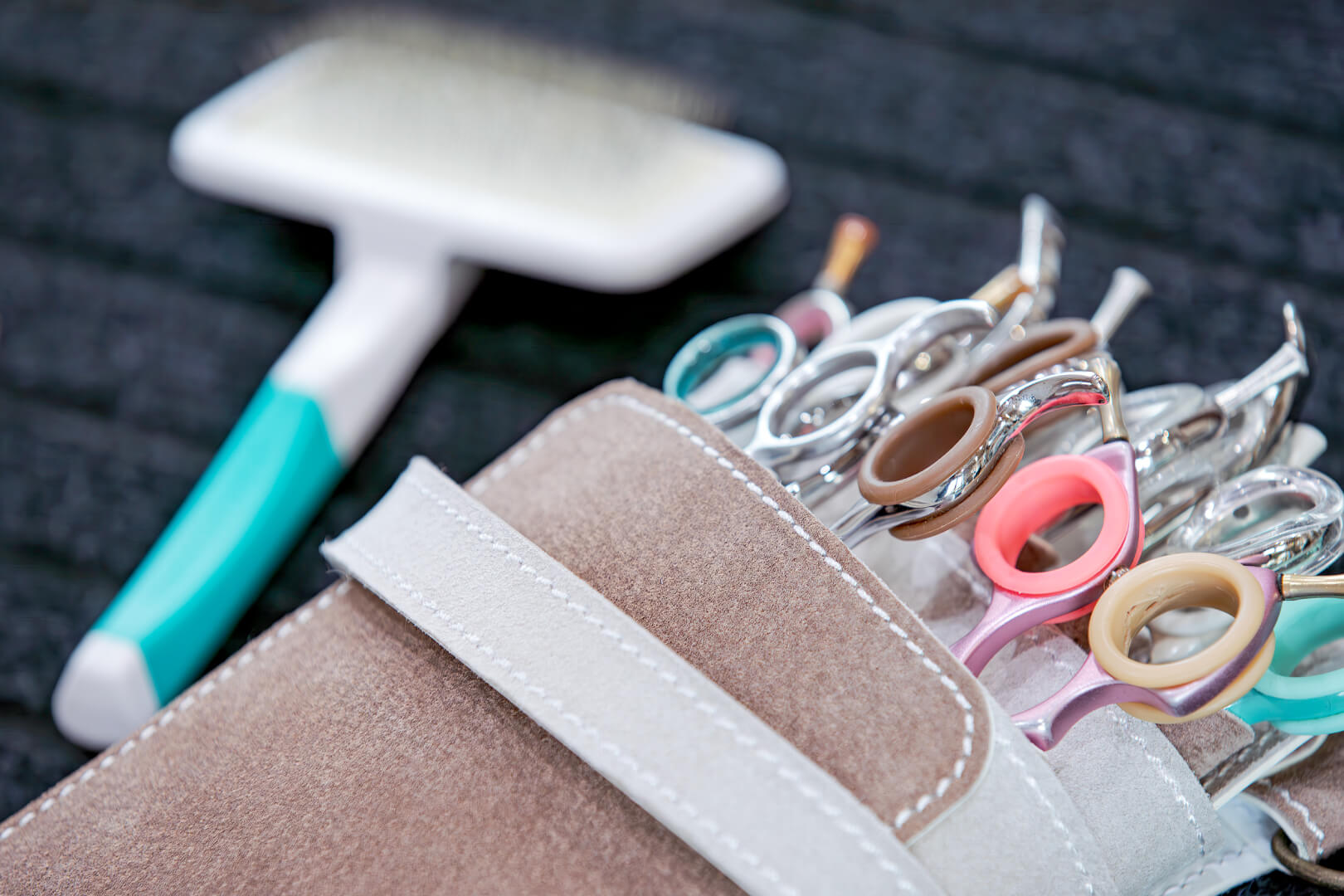 土浦市木田余のトリミングサロン「prima dog by giorich」